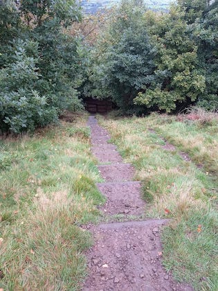 Redisher Steps Looking Down