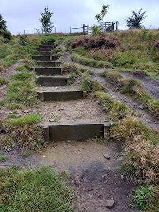 Redisher Wood Steps Looking Up