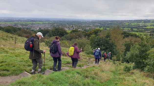 Redisher Wood Steps Celebratory Walk - Going Down the Steps